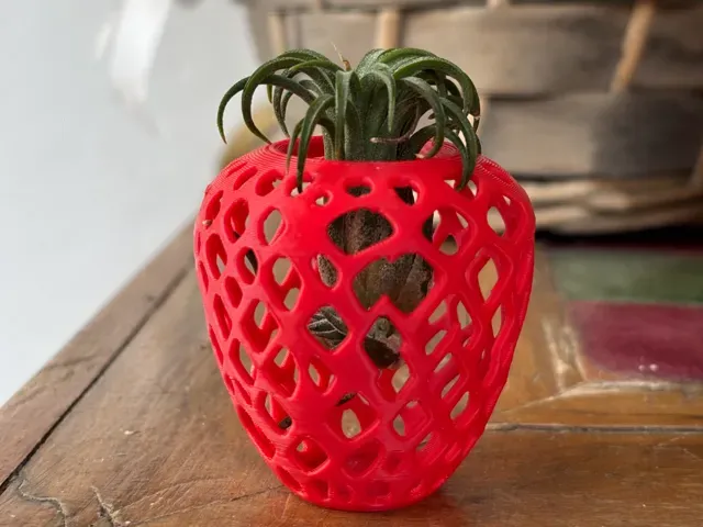 Strawberry Stand for Air Plant and More