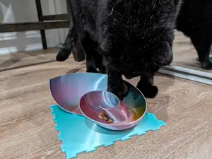 Curious Paws- Nautilus Puzzle