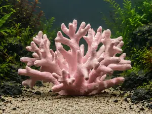 Stylophora Pistillata Coral #1 - Aquarium Decor