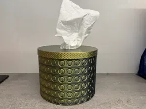 TP2T: The Ultimate Tissue Transformer!