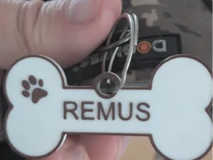 Dog Nametag (customizable in BambuStudio)