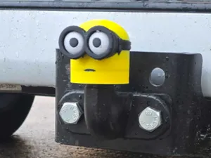 Minion 50mm Tow ball/hitch cover