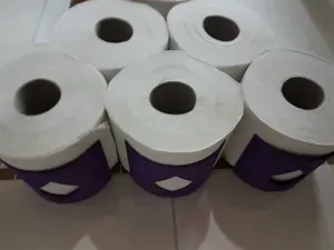 Toilet paper holder for storage, simple and fast