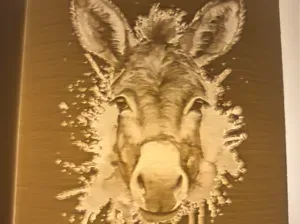 Donkey Night Light