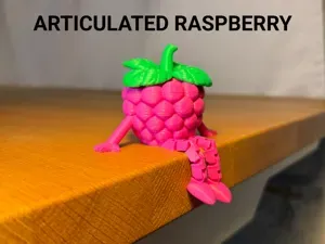 Articulated Raspberry Buddy