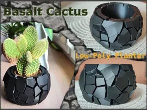 Basalt Cactus – Low-Poly Planter