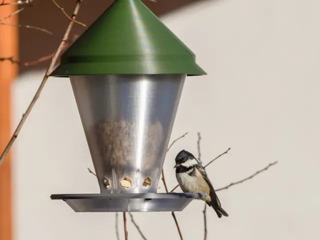 Vogelfutterhäuschen — Image 2 of 7