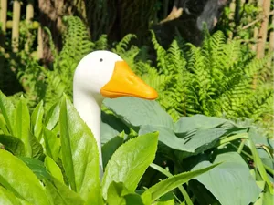 Gans Gartenstecker *No AMS*