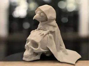 Mysterious Raven on the skull