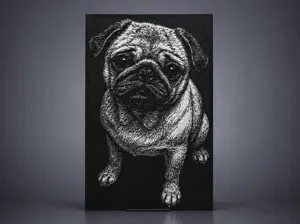 Pug dog