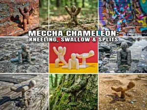 Meccha Chameleon: Kneeling, Swallow & Splits