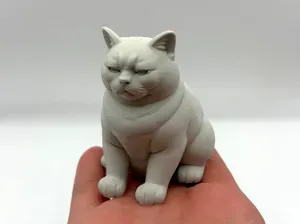 Not Amused Cat