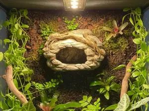 Wall hiding place