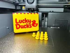 Mini Ducks with Storage Box