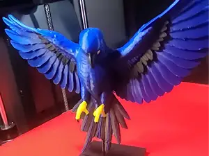 Macaw Colored 