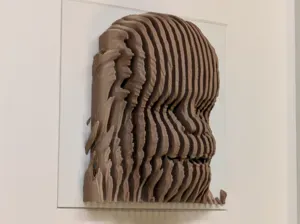 Chewbacca - Layered Sculpture