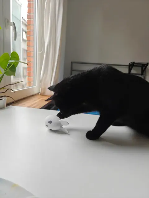 Bunny cat toy - Easter Egg treat toy — Фото 6 из 6