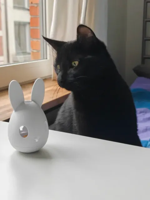 Bunny cat toy - Easter Egg treat toy — Фото 4 из 6