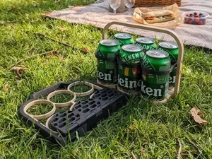 Foldable can/bottle holder
