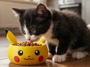 Comedero Pikachu Mascotas Pokemon (AMS & NO AMS)