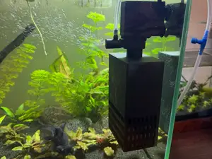 FILTRO ACQUARIO