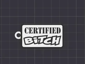 b-tch keychain /necklace charm (free commercial)