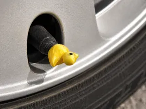 Micro Duck Quack Cap