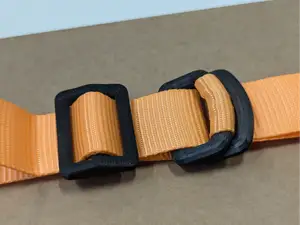 Double D-ring buckle strap