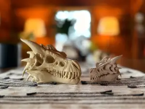 Dragon Skull Fossil