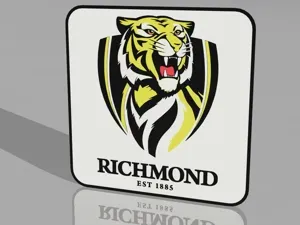 Richmond Tigers bar/man cave light