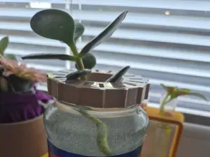 Planter Holder - Mason Jar Barilla, 52mm inside