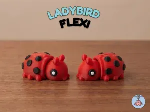 Cute flexi Ladybird | Fidget