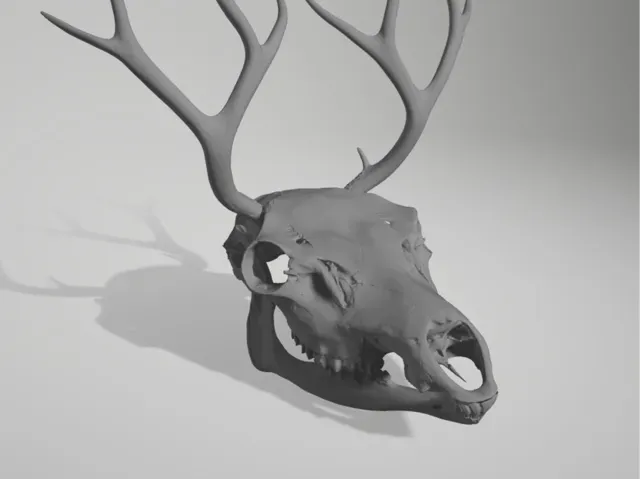 elk helmet movable jaw