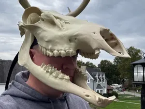 elk helmet movable jaw