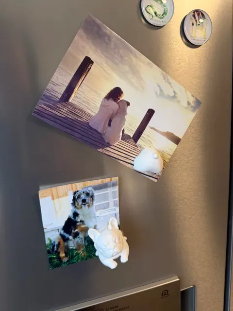 French Bulldog Photo Magnet Holder — Фото 10 из 12