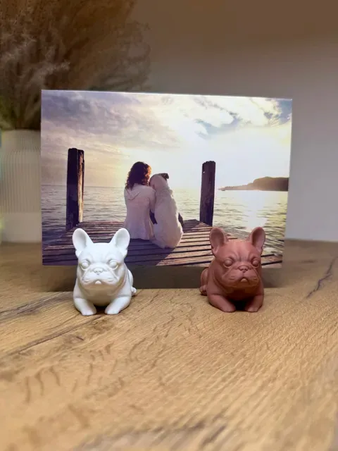 French Bulldog Photo Magnet Holder — Фото 2 из 12