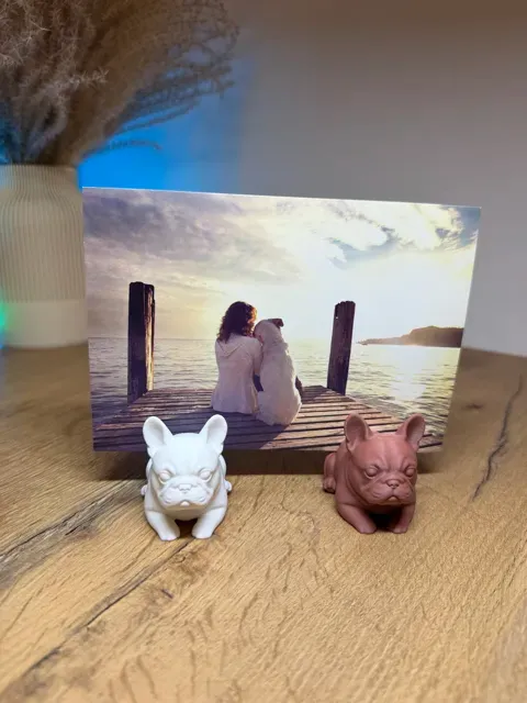 French Bulldog Photo Magnet Holder — Фото 12 из 12