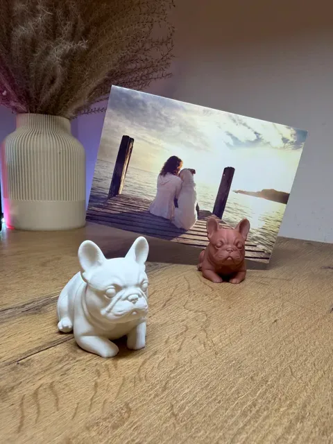 French Bulldog Photo Magnet Holder — Фото 7 из 12