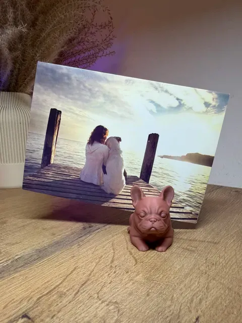 French Bulldog Photo Magnet Holder — Фото 8 из 12