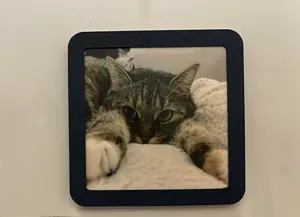 3" x 3" (7.6cm x 7.6cm) Picture Frame