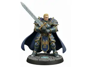 Paladin Human Male D&D Miniature (45mm)