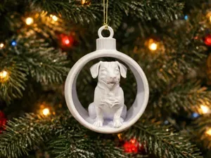 Entlebucher Mountain Dog in Christmas Bauble. Cute