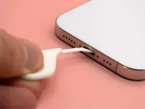 Port Pick by Pork3D.com