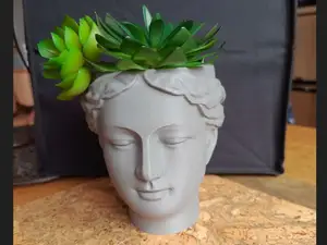 Pflanztopf „Venus“ – Eleganter Kopf-Blumentopf 
