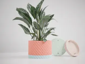 Simple Planter With Drip Tray. Easy Print