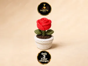 Strick-Rose