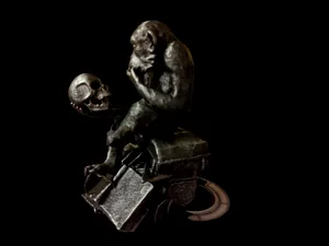 Monkey with Skull from Scan the World