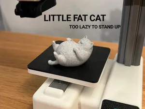 Little Fat Cat