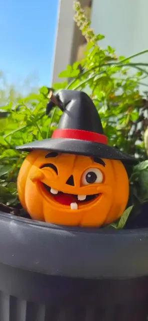 Winky the Witch Pumpkin | Pumpsy Halloween Series — Image 6 of 8