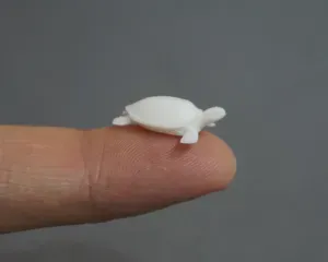 Cute sea turtle (different sizes)